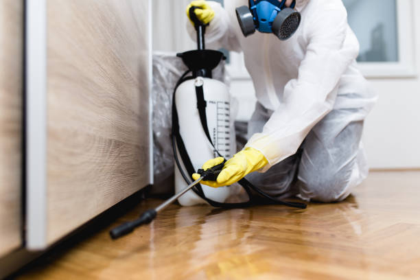 Best Wasp Removal Services  in North Decatur, GA