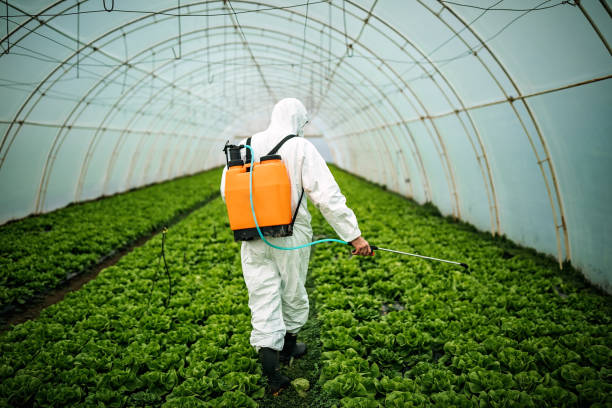 Professional Pest Control in North Decatur, GA