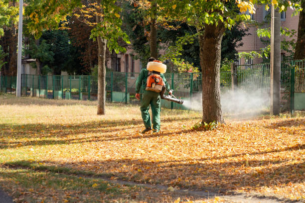 Best Pest Control for Businesses  in North Decatur, GA