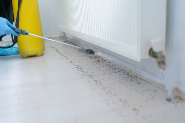 Best Best Pest Control Companies  in North Decatur, GA